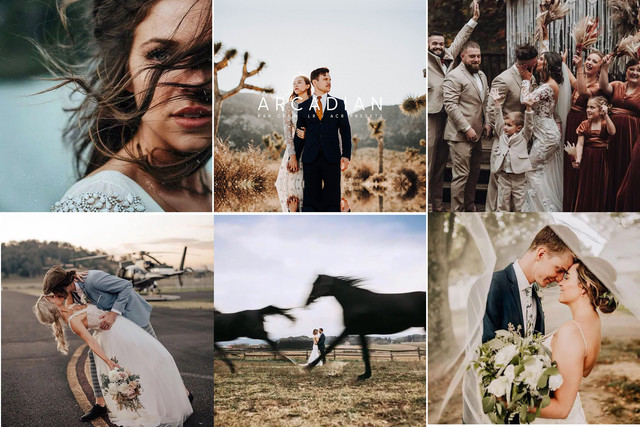 Шикарные пресеты. Arcadian Collection (Rooke & Rover)